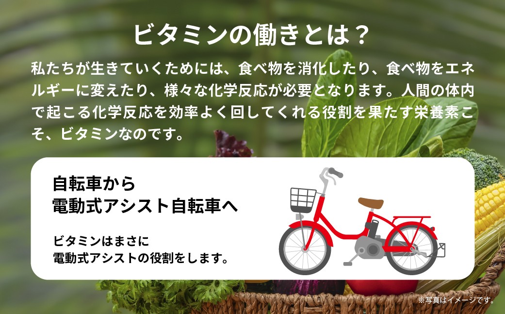 サプリメント ビタミン サプリ さぷりめんと びたみん 栄養