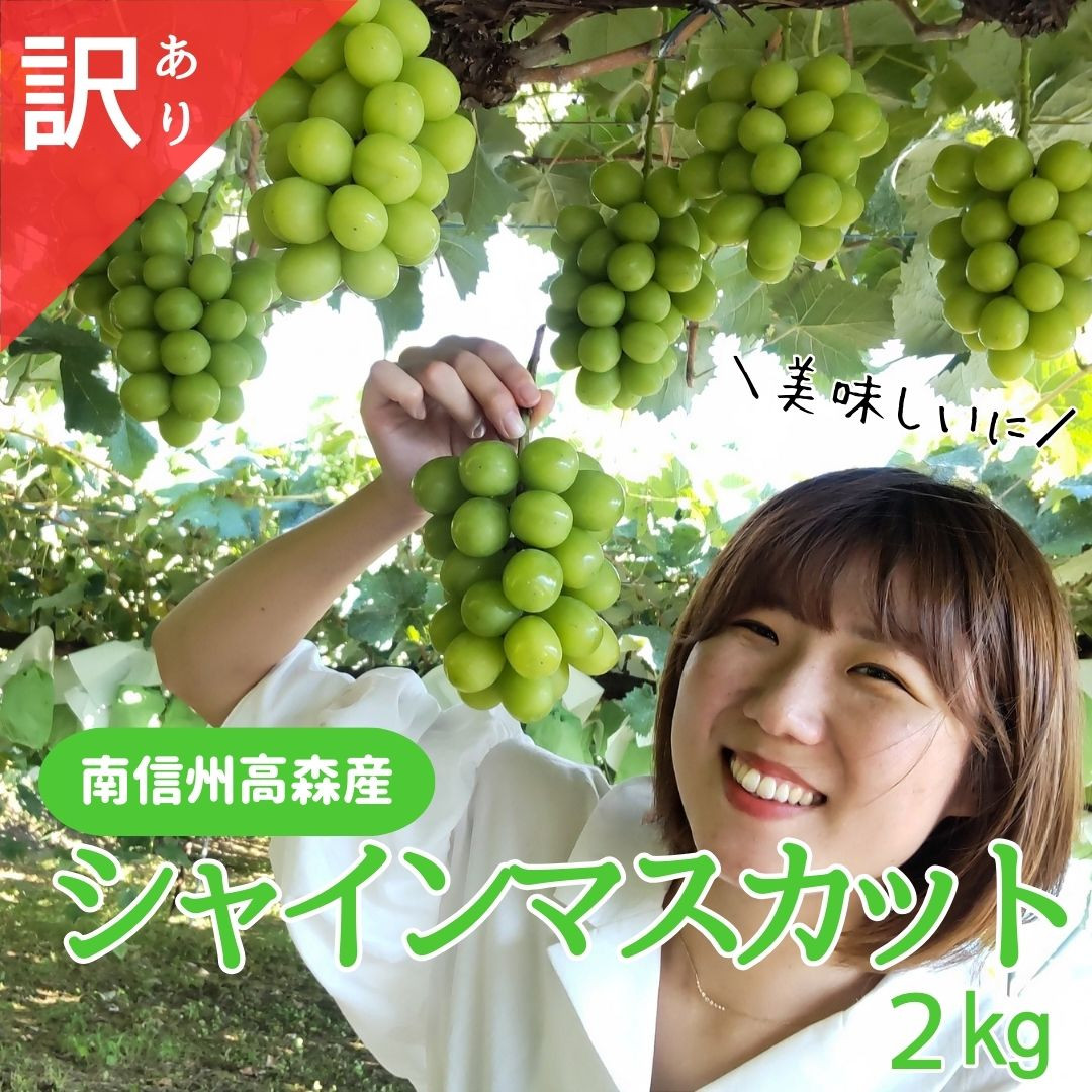 
            シャインマスカット 訳あり２kg（3～6房） 9月下旬より発送 長野県 信州 南信州 高森町 農家直送 果物 くだもの ぶどう 旬のぶどう シャイン ご家庭用 ともの谷農園
          