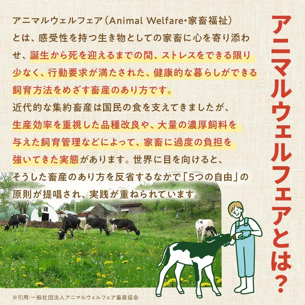 北海道旭川産 チーズ ヨーグルト 牛乳 定番3種セット 【チーズ 牛乳 道産牛乳 チーズセット チーズ ちーず ti-zu cheese CHEESE 北海道 旭川市】_00129