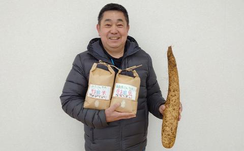 「とろろごはんセット 」お米(2品種各2kg)と長芋(約5kg) ※2024年4月春掘り長芋