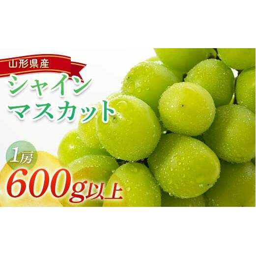 【令和7年産先行予約】 シャインマスカット 600g以上 (1房 秀) 《令和7年9月頃～発送》 『南陽中央青果市場』 マスカット ぶどう 果物 フルーツ デザート 山形県 南陽市 [1206]