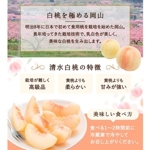 桃 先行予約 清水白桃 6～8玉 約1.5kg 化粧箱 岡山県 赤磐市産 果物 もも モモ 桃