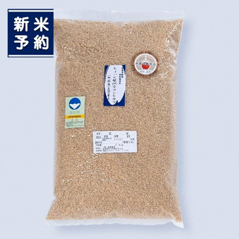 【ふるさと納税】【新米受付・令和7年産米】新潟県村上市岩船産 特別栽培コシヒカリ 玄米 5kg NA4221　｜ ちょっと贅沢なコシヒカリ 農家直送 お米 一等米 健康志向 食物繊維 飴色玄米 真空 食味鑑定士