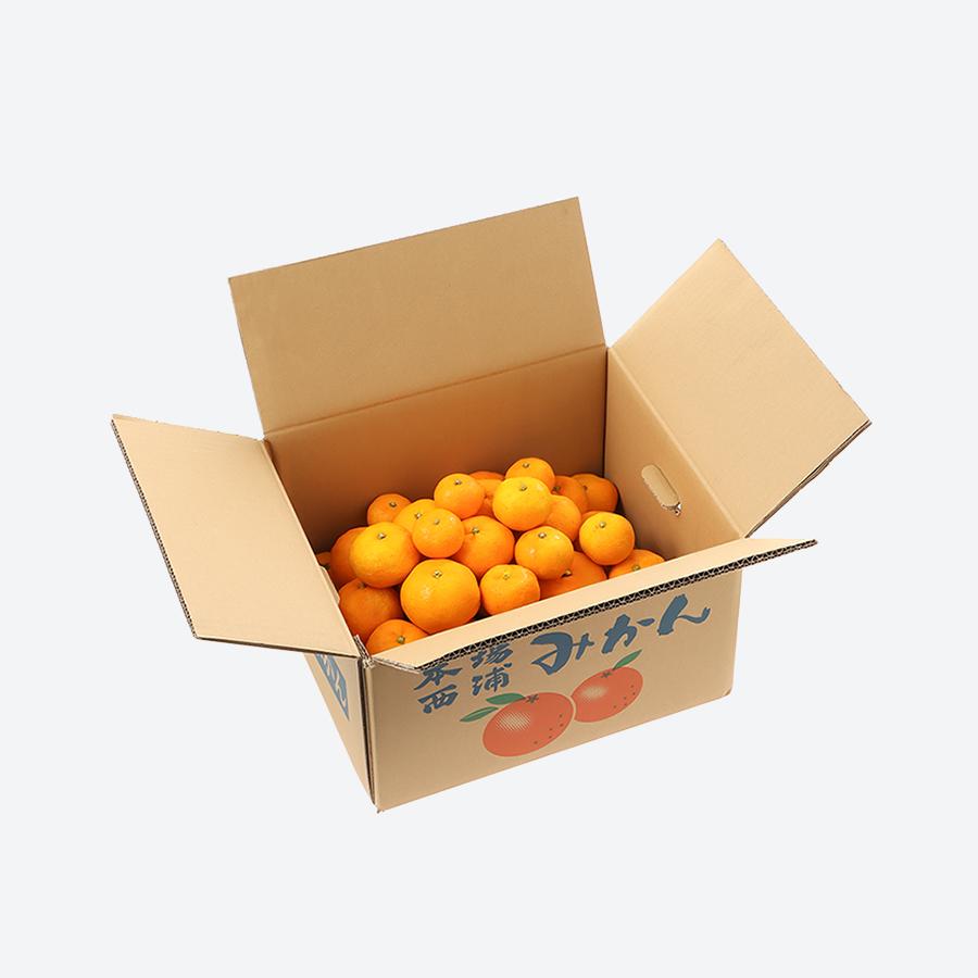 ＜木負観光みかん園＞由良みかん3kg　贈答用