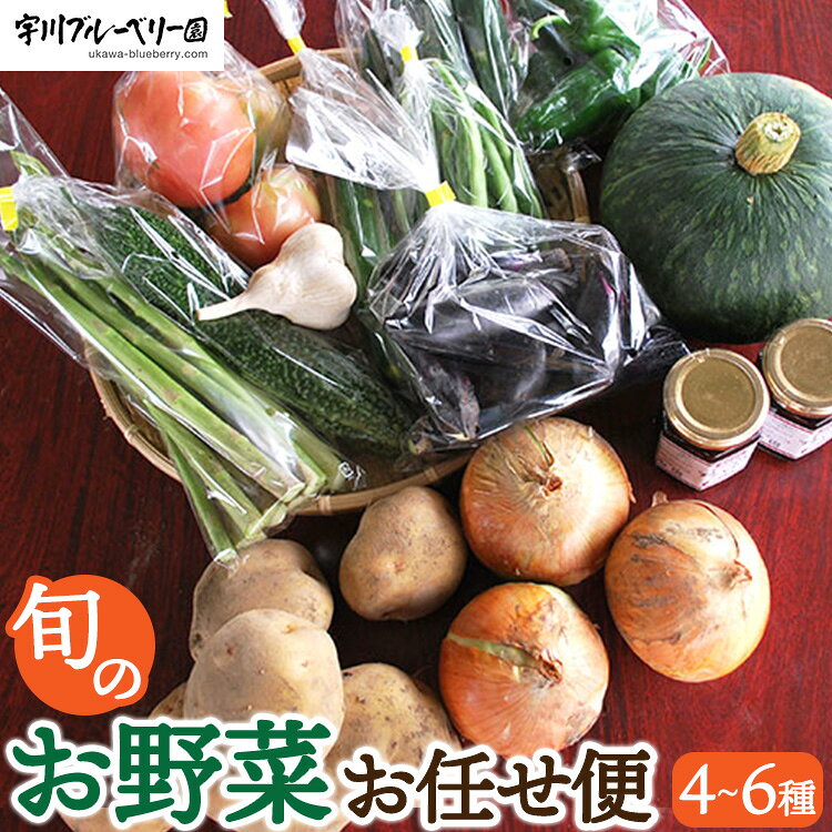 【ふるさと納税】[2026年先行予約］宇川ブルーベリー園の旬のお野菜おまかせ便 4〜6種 80サイズ箱でお届け　※2026年10月～発送