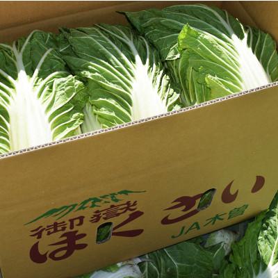 ふるさと納税 木祖村 【一玉一玉が大きい!シャキシャキ新鮮】御嶽はくさい 6玉【2026年7月下旬より順次発送】 |  | 01