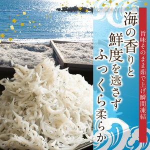 冷凍釜揚げしらす１kg_H6021