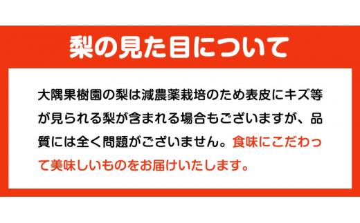 大隅果樹園の玉東梨(旬の品種をお届けします) 約5kg(13-20玉前後)   《8月中旬-9月上旬頃出荷》---sg_coosuminasi_g8_25_13000_5kg---