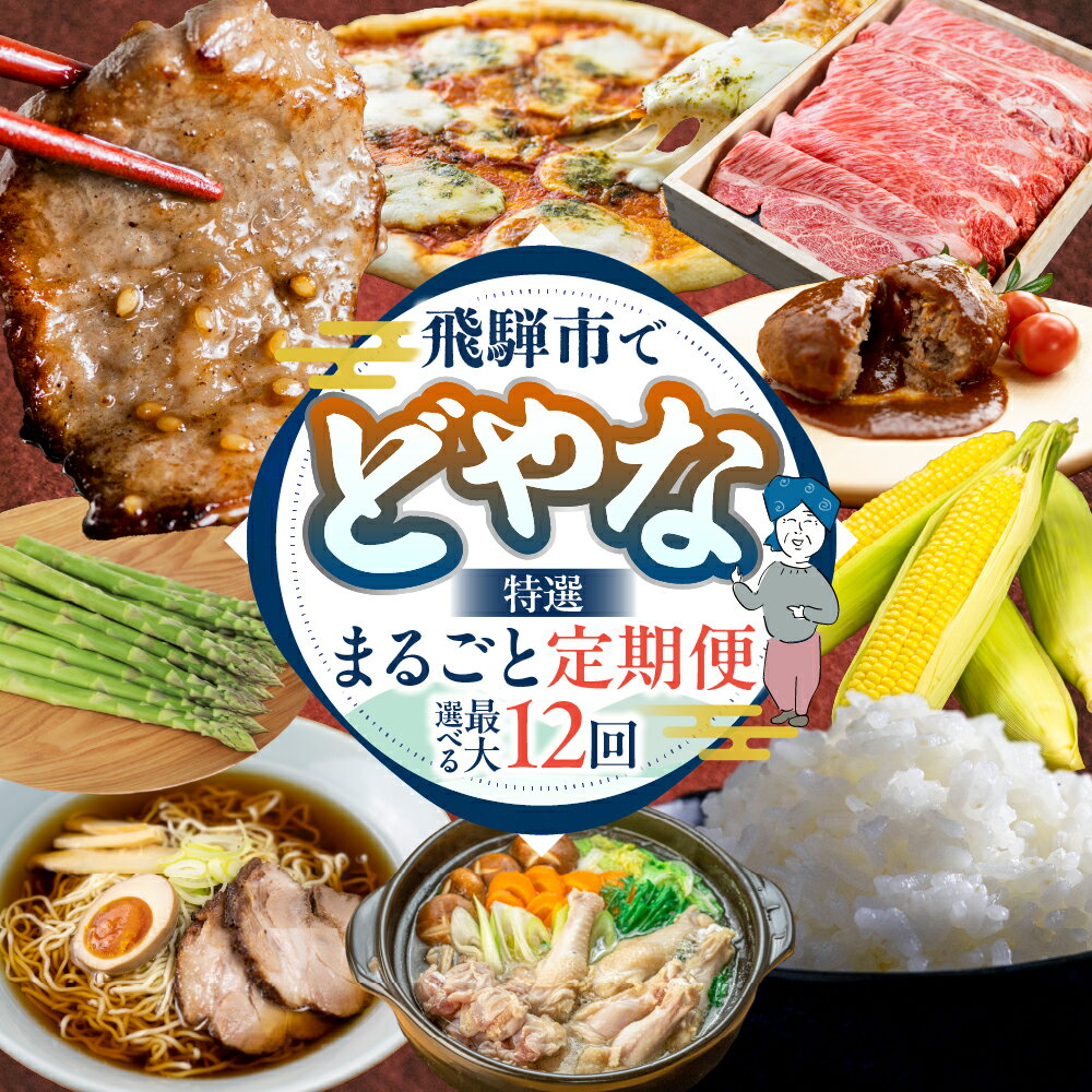 【ふるさと納税】どやな飛騨市 定期便 選べるお届け回数 いろいろ お届け 6ヵ月 6回 12回 米 こしひかり 牛肉 肉 焼肉 飛騨牛 地鶏 焼き鳥 焼鳥 アイス チーズ ピザ 高山ラーメン 定期便 お楽しみ 6回 半年 1年 [Q3015] 100000円 10万円 20万円 どやな飛騨市