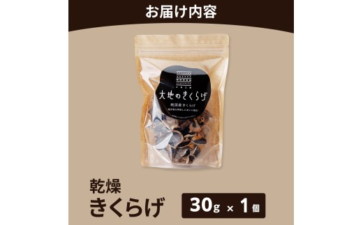 きくらげ 国産 乾燥きくらげ 30g 大地のきくらげ 選べる内容量 | キクラゲ 木耳 乾物 乾燥食材 食物繊維 鉄分 ビタミンD 食材 肉厚 プリプリ コリコリ 低カロリー 栄養 旨み 料理 惣菜 おかず 中華 料理 ラーメン 具材 炒め物 スープ 食材 野菜 人気 おすすめ お取り寄せ ハウス栽培 大地工房 株式会社PEC 埼玉県 桶川市