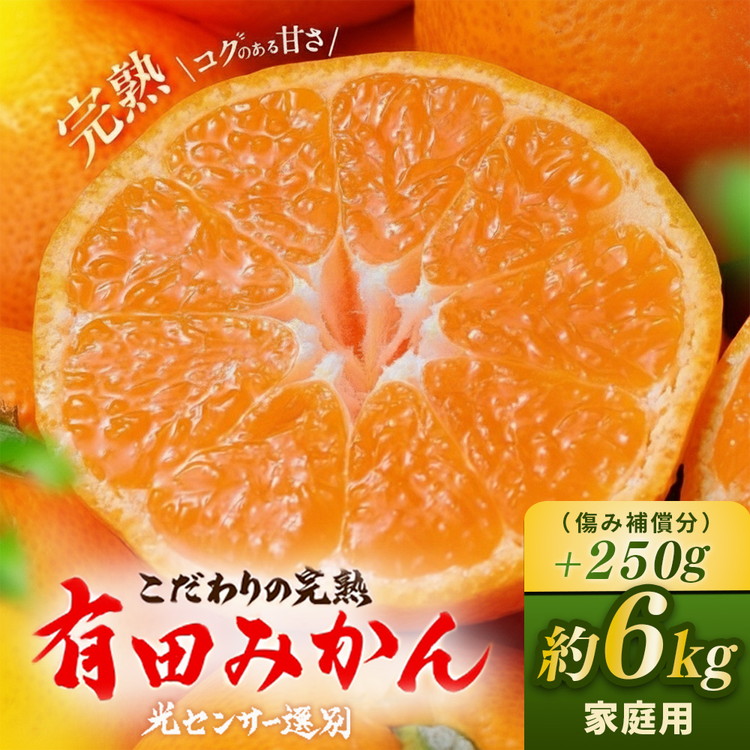 ＼光センサー選別／こだわりの完熟有田みかん 6kg＋250g(傷み補償分) 【ご家庭用】サイズ混合 ｜ふるさと納税 みかん 有機質肥料100%◇※2025年11月中旬～2026年1月上旬頃に順次発送予定※北海道・沖縄・離島への配送不可
