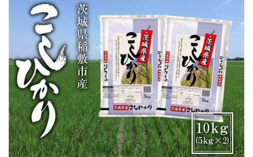 
                  【定期便／3ヶ月 令和8年産】稲敷市産 コシヒカリ 計30kg (10kg [5kg×2袋]×3回)｜こしひかり 米 こめ コメ ごはん ご飯 [2385]
                