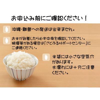 ふるさと納税 大田原市 【大田原市・那須塩原市・那須町共通返礼品】令和7年産 栃木県産コシヒカリ　なすそだち10kg(精米) |  | 02