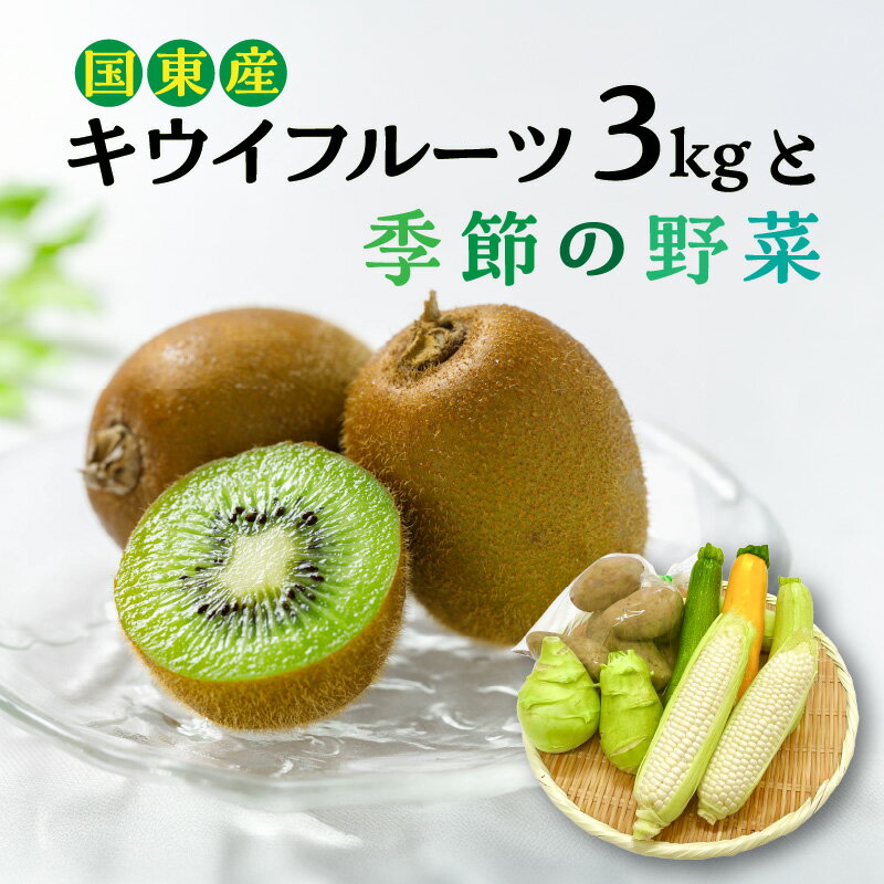 【ふるさと納税】【先行予約】未追熟 国東産キウイフルーツ3kgと季節の野菜