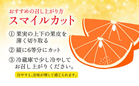 【2024年12月より発送】【ご家庭用】 みはや 3kg 長与町/果豊園[ECL004] / みかん みはや みかん みはや みかん みはや みかん みはや みかん みはや みかん みはや みかん み