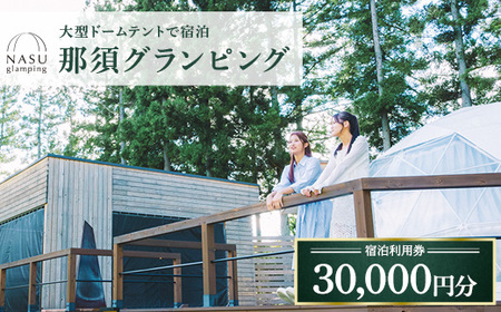 那須グランピング　宿泊利用券　30,000円分（1,000円×30枚） ｜ 大型ドームテントと個別のトイレシャワー洗面台完備！豪華ディナー＆モーニング付！ 宿泊 旅行 チケット 宿泊券 旅行券 優待券 観光 国内旅行 グランピング 那須 栃木県 那須町〔G-50〕