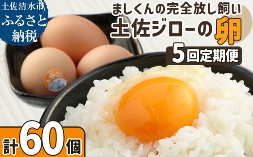 土佐ジローの卵 定期便（12個入り×5回）もみ殻梱包 ブランド卵 タマゴ たまご 卵 毎月 定期コース 土佐ジロー 卵焼き 卵かけごはん 卵料理 送料無料 お取り寄せ【J00132】