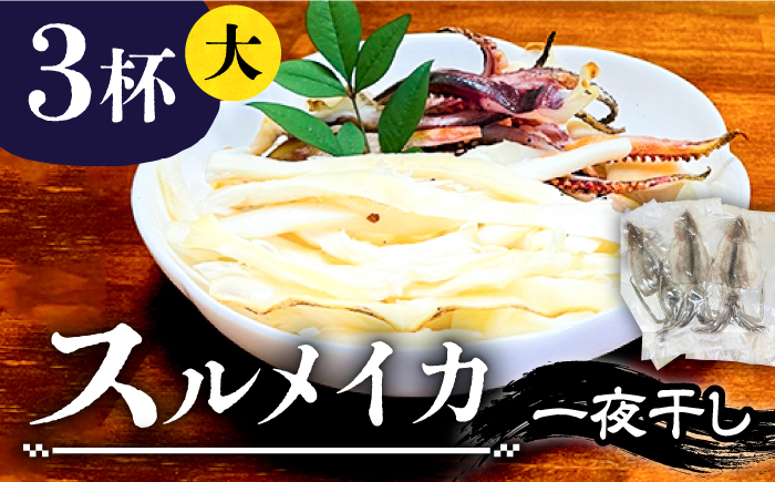 スルメイカ 一夜干し （大）3杯 《壱岐市》【株式会社マルショウ】 いか イカ スルメ おつまみ [JEW010] 13000 13000円