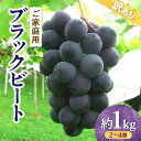 【ふるさと納税】訳あり ご家庭用 ブラックビート 約1kg【2025-8月中旬～2025-9月下旬配送】 | ぶどう ブドウ 果物 フルーツ 藤稔 ピオーネ 大粒 黒ぶどう ジューシー 高松市