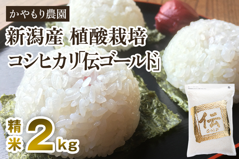 
【令和5年産米】新潟産コシヒカリ「伝ゴールド」白米真空パック 精米2kg 南麻布の高級料亭で提供される極上米 かやもり農園
