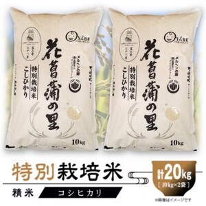 特別栽培米20kg (精米/コシヒカリ10kg×2)【1670507】