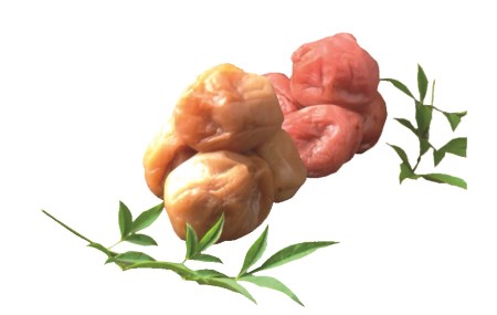 熊野乃梅　2種詰合せ③　うす塩（塩分9％）・はちみつ（塩分8％）としそふりかけ【snby0011】