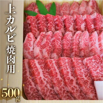 【ふるさと納税】《在庫なくなり次第受付終了》飛騨牛 上カルビ 焼肉用 500g 日時指定可 冷蔵 牛肉 和牛 肉 国産 熨斗掛け バーベキュー 焼き肉 カルビ A4 A5 山勇牛一貫 高級 熟成 化粧箱 ギフト 熨斗 人気 時間指定［Q113n］ お中元 ギフト 御中元 お歳暮