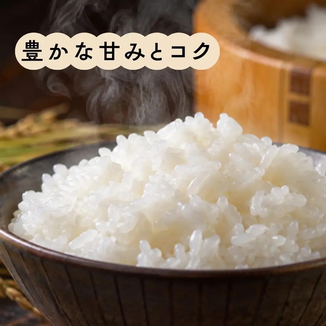 先行予約 特別栽培米 2kg×4種 コシヒカリ 新之助 他 新潟県 三条市 令和8年 精米 佐藤農産有機センター コシヒカリ