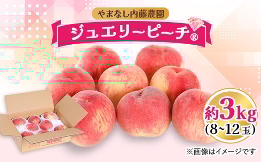 
            桃 約3.0kg 8～12玉 やまなし内藤農園 ジュエリーピーチ (R) 白桃 _ ふるさと納税 ふるさと 桃 もも モモ フルーツ 果物 くだもの ピーチ 人気 美味しい 山梨県 山梨市 山梨 送料無料【1225654】
          