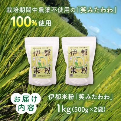 ふるさと納税 糸島市 伊都 米粉 笑みたわわ 1kg 500g×2 フルタク [AHN008] |  | 03