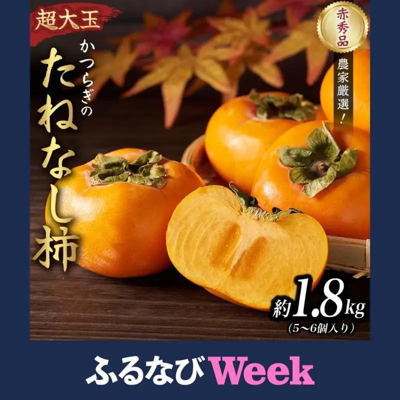 柿 種無し 赤秀品 超大玉 約1.8kg 5～6個 【先行予約】【2026年9月下旬から10月下旬頃発送】【KG4】【BK004-kgr003A-week】