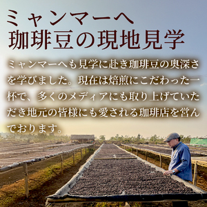 No.3276【12回定期便】珈琲豆 ｹﾞｲｼｬﾅﾁｭﾗﾙ ﾐｬﾝﾏｰ【豆】希少種 焙煎 200g×3袋