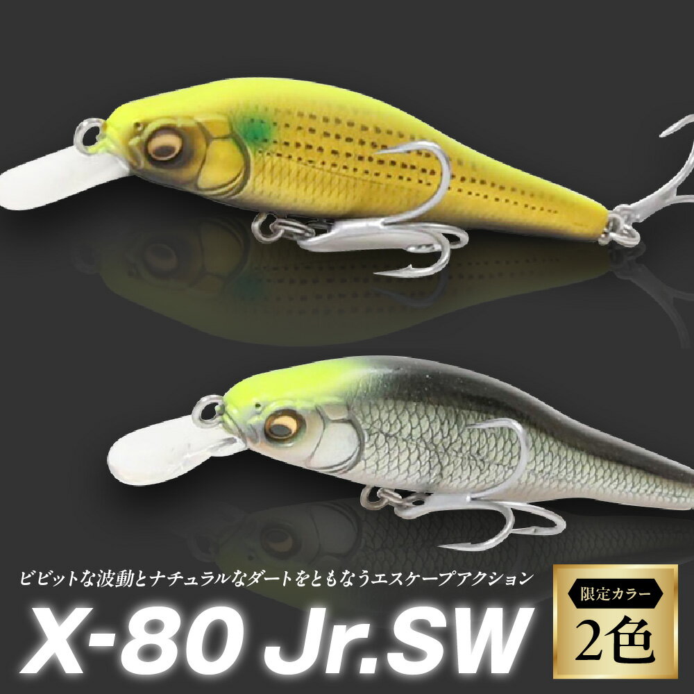 【ふるさと納税】X-80 JR.SW 限定カラー シーバス ルアー 65mm 6g シンキング メガバス ダウンサイジング スモールベイト エスケープアクション ダート 波動 モンスターシーバス 送料無料 大阪市 大阪府