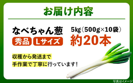 【先行予約】【2025年11月発送開始】焼いてそのまま美味しい！なべちゃん葱 秀品 Lサイズ5kg（500g×10袋）約20本 ねぎ ネギ 島根県雲南市/山さんファーム [AICO001]