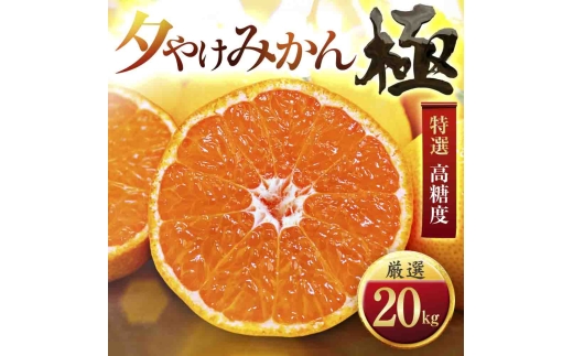 ＜甘みが濃縮されたみかん＞愛媛で育った夕やけみかん＜極＞20kg＜H49-29＞【1508883】 YWTZ021