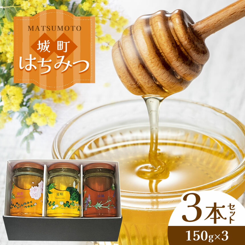 【ふるさと納税】まつもと城町(しろまち）はちみつ3本セット│蜂蜜 はちみつ ハチミツ 長野県 松本市 蜂蜜専門店