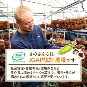 野菜【 全2回 定期便 】 野菜 とうもろこし しいたけ JGAP 先行予約