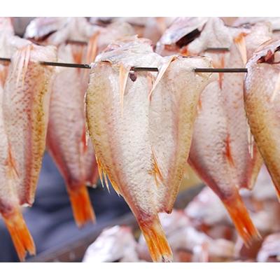 ふるさと納税 京丹後市 のどぐろ一夜干し　(ノドグロ、アカムツ)　350g級使用　干し上がり後　245g以上　3尾セット |  | 02