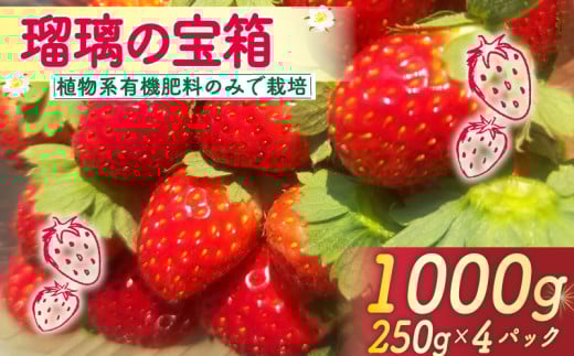 【2026年3月～5月発送】 いちご 1000g 瑠璃の宝箱 250g 4パック 有機JAS 植物系有機肥料のみ イチゴ 苺 オーガニックイチゴ ストロベリー ベリー フルーツ 果物 甘い 国産 ブランド 産地 直送 フレッシュ 人気 おすすめ ふるさと納税 京都 八幡 八幡市 かみむら農園