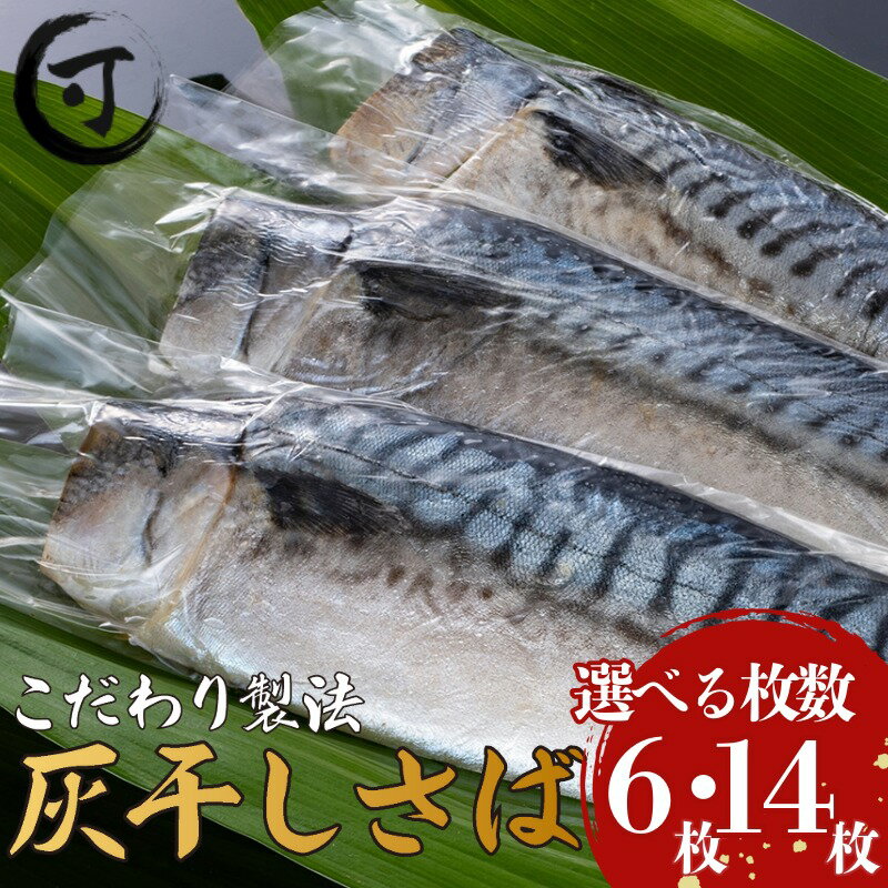 【ふるさと納税】 さば 灰干し 干物 【選べる容量　6枚・14枚】 2枚入り3パック 2枚入り7パック こだわり 灰干し 鯖 サバ 干物 さば干物 魚介 魚貝 ギフト プレゼント 贈答 人気 お取り寄せ グルメ 冷凍 送料無料 鯖灰干し 鯖干物 塩さば 塩鯖 干物サバ 千葉県 銚子市 兆星
