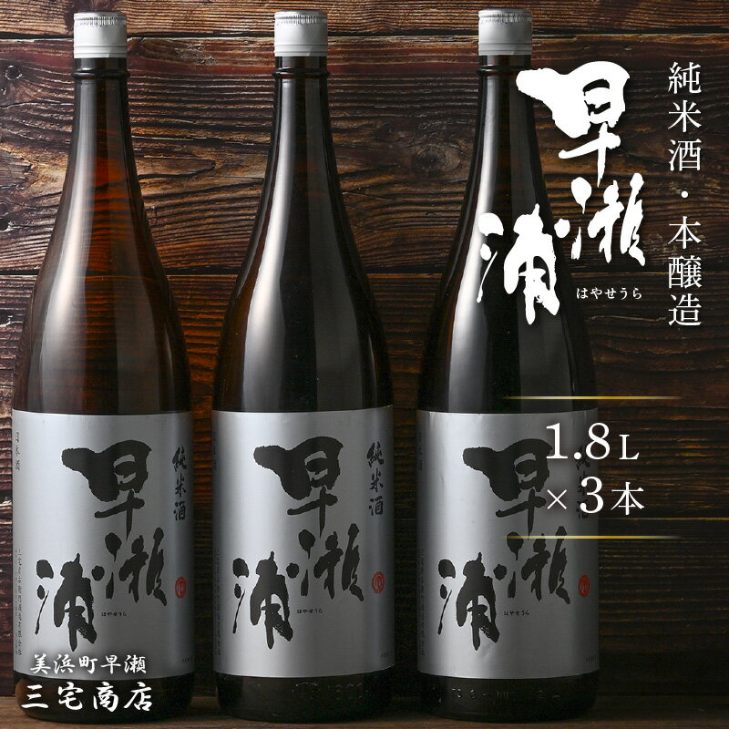 【ふるさと納税】【早瀬浦】純米酒 1800ml × 3本 【日本酒 地酒 福井 美浜 早瀬 フルーティ 男酒 硬水 ミネラル 希少 ご褒美 父の日 ギフト プレゼント 家飲み 敬老の日】 [m16-d009]