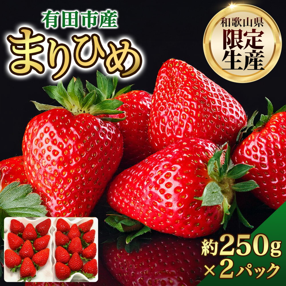 【ふるさと納税】いちご「まりひめ」約250g×2パック 和歌山 苺 イチゴ 産地直送 濃厚 甘い フルーツ 果物 くだもの 人気 おすすめ 送料無料 国産 和歌山県有田市 (A1084-1)