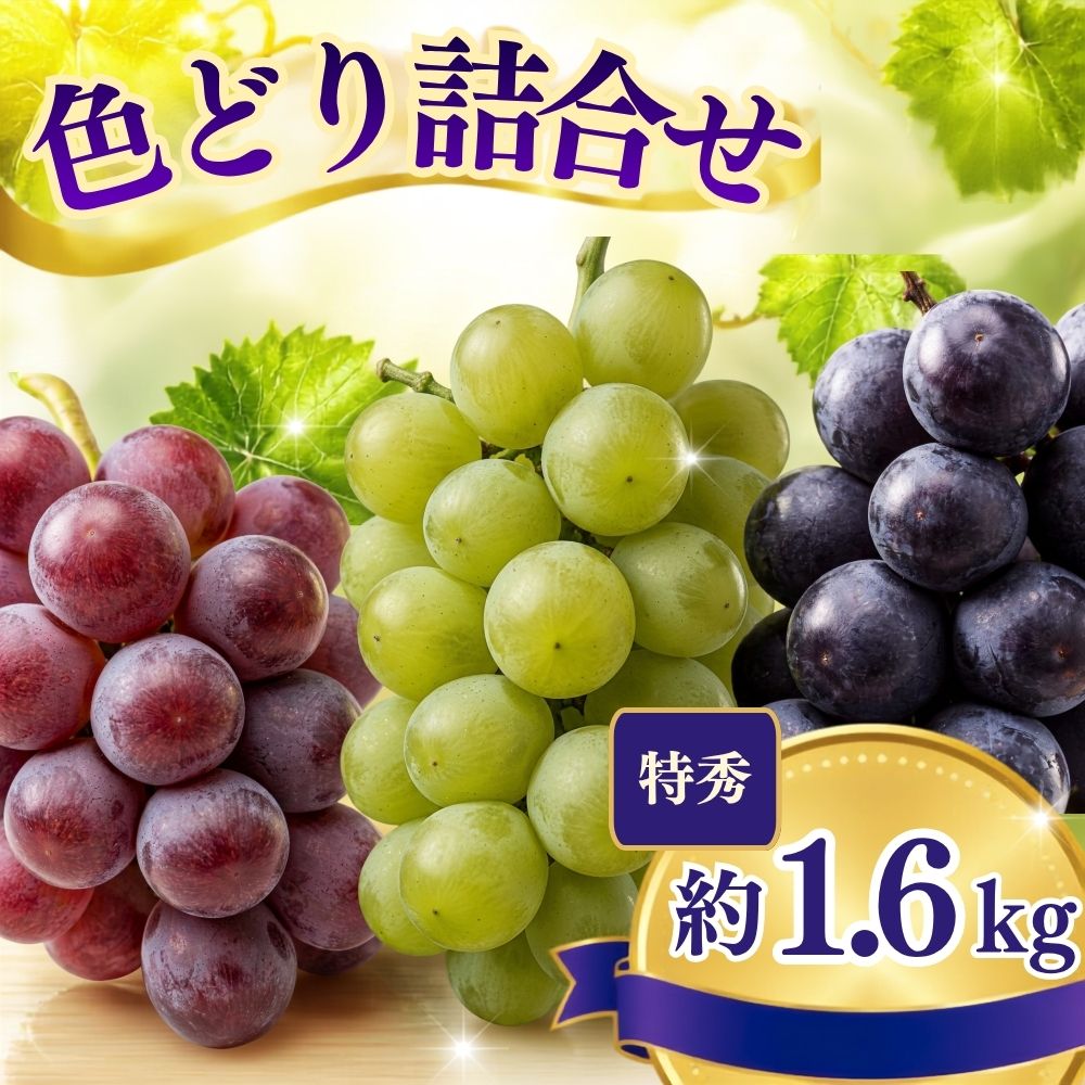 【ふるさと納税】おまかせ ぶどう 詰め合わせ 3種 ～ 4種 食べ比べ セット 約 1.6kg 特秀 2026年産 農家直送 山形県 朝日町産 山形産 高級 ブドウ 葡萄 グレープ 果物 フルーツ 秋 送料無料