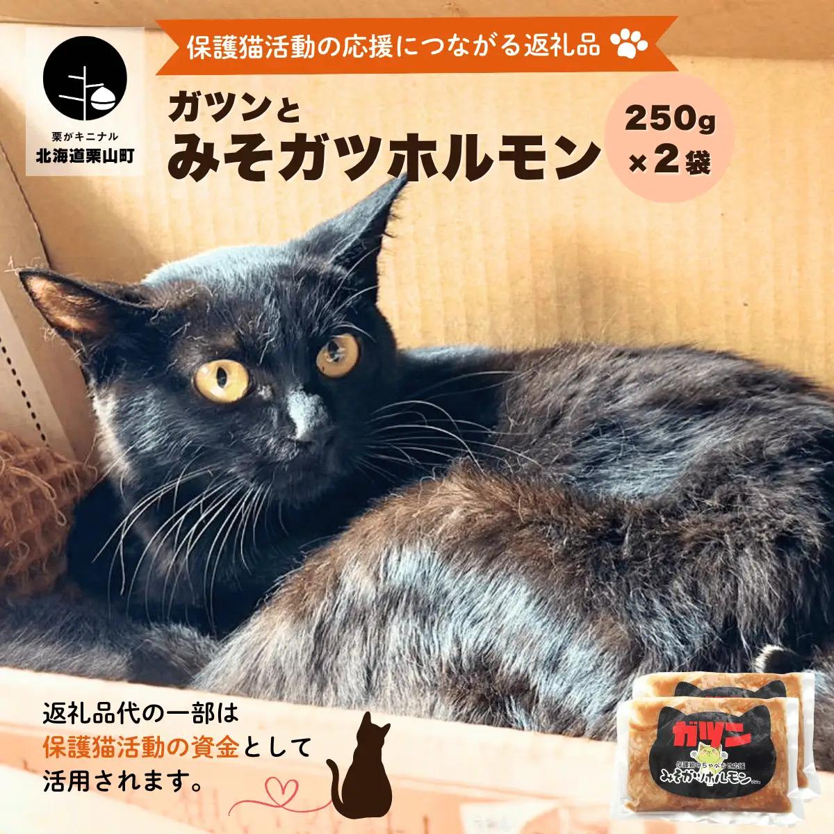 ガツんとみそガツホルモン【保護猫活動につながる返礼品】