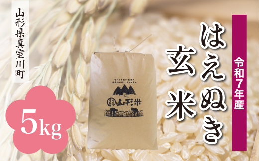 ＜令和7年産米＞ はえぬき 【玄米】 5kg （5kg×1袋）＜配送時期指定可＞　山形県真室川町