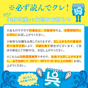 牡蠣　広島　矢野水産 フレッシュギフト 海からそのまま殻付き牡蠣13個～15個  加熱用