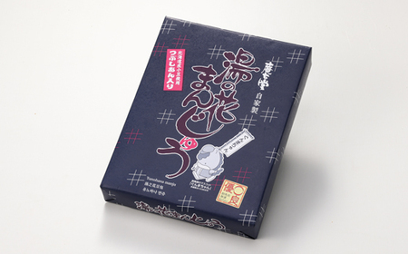 湯の花まんじゅう(つぶし餡)12個入×1箱【1427676】