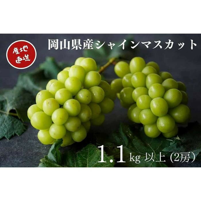 【ふるさと納税】【内容量が選べる】厳選 シャインマスカット 2房 合計1.1kg以上又は2～3房 合計1.7kg以上 | フルーツ 果物 くだもの 食品 人気 おすすめ 送料無料