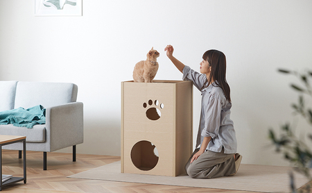 キャットタワー 低め 段ボール ねこねこタワー 2段 P-NT2