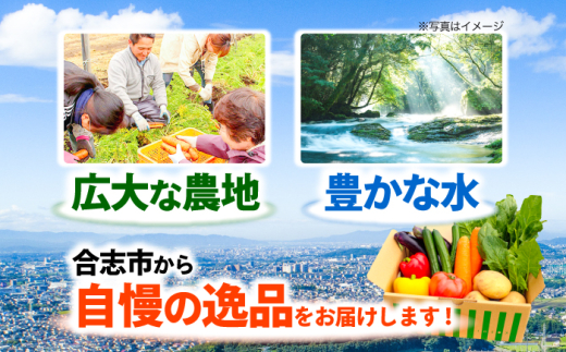 合志の旬のお野菜10〜12品目 定期便